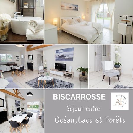 Ravissante Maison Cosy 4* Biscarrosse Proche Lac Екстериор снимка